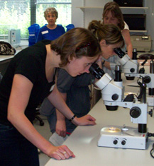 Teachers looking at labelled cells at UEAcell