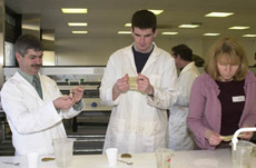 removing gluten from different dough preparations