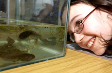 water for life - tadpole in tank viewed by pupil