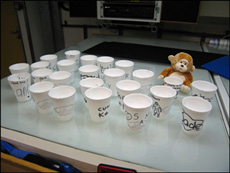 Cups from pupils