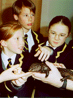 Pupils handling animals