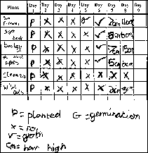 One child's results